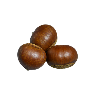 Chestnut